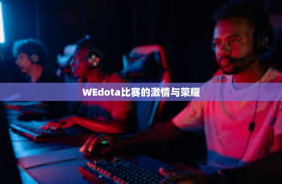 WEdota比赛的激情与荣耀