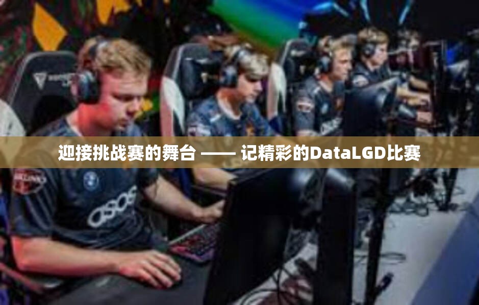 迎接挑战赛的舞台 —— 记精彩的DataLGD比赛