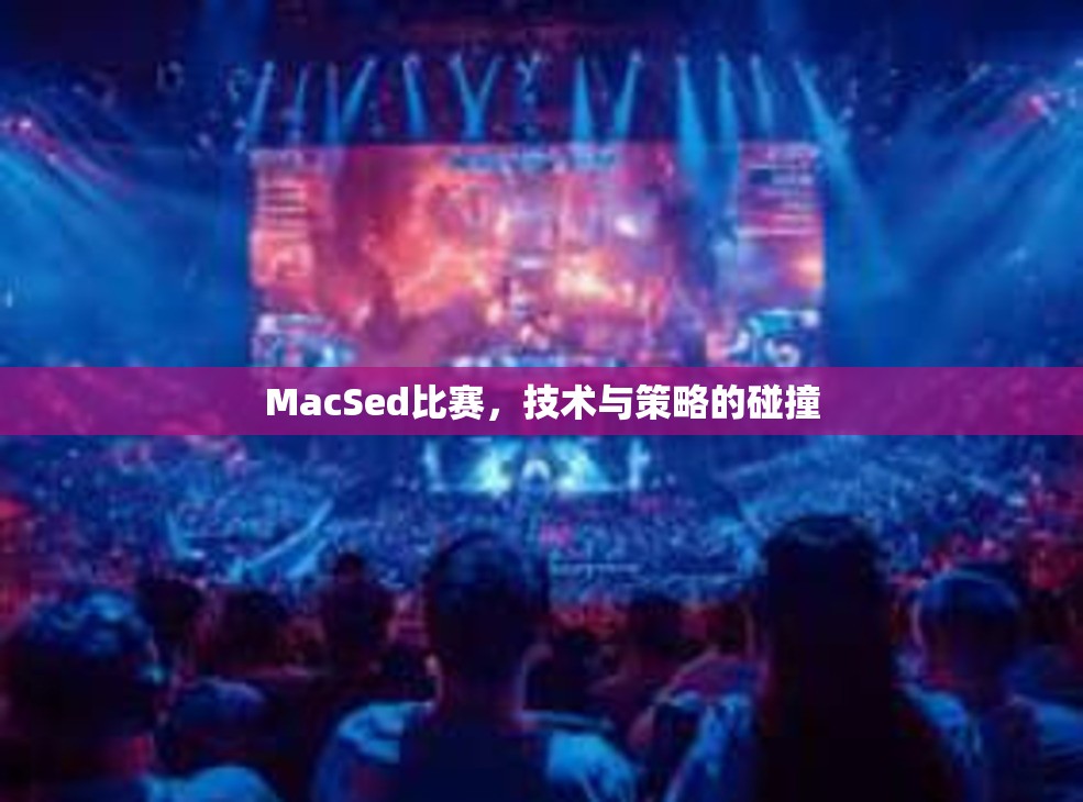 MacSed比赛，技术与策略的碰撞