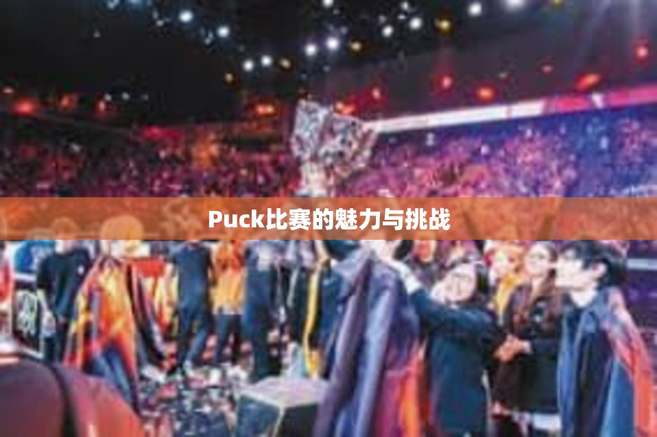 Puck比赛的魅力与挑战