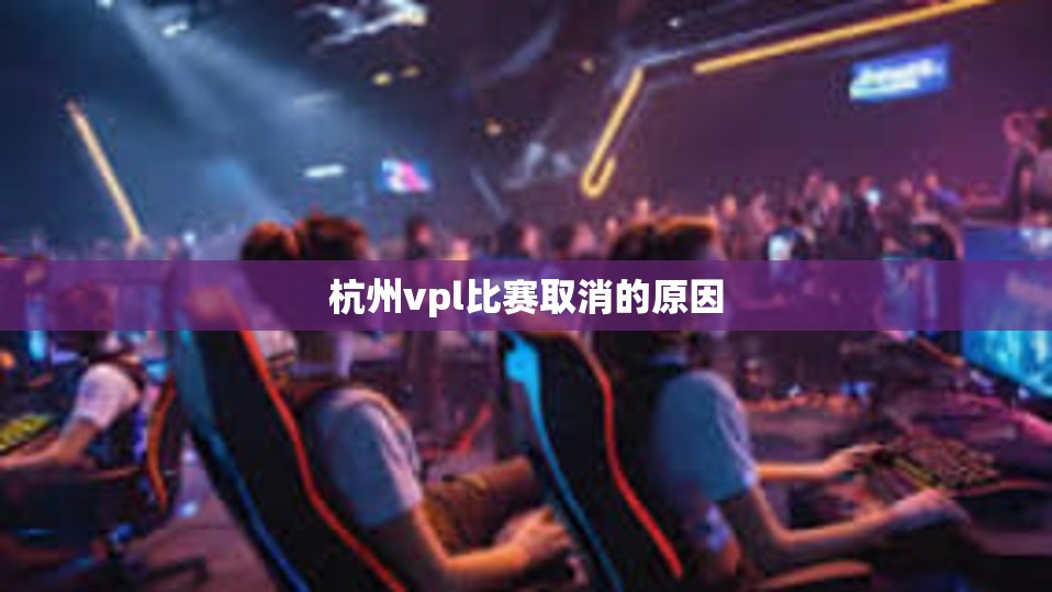 杭州vpl比赛取消的原因