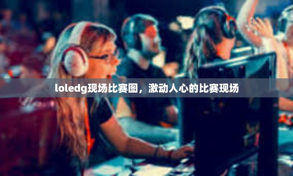 loledg现场比赛图，激动人心的比赛现场