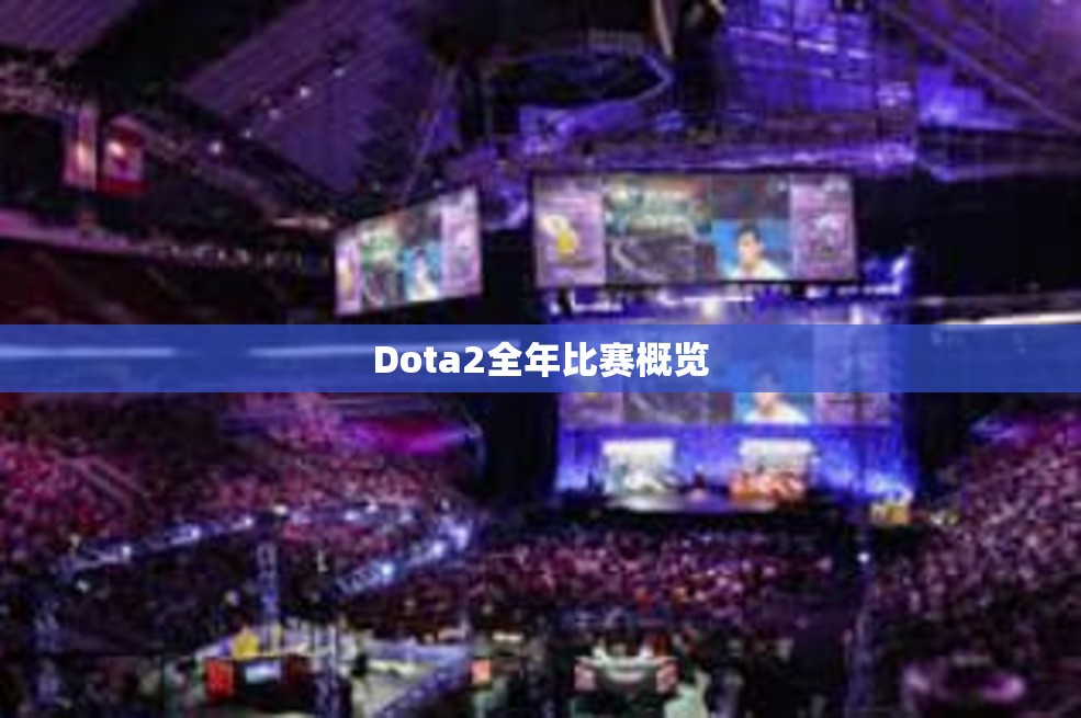 Dota2全年比赛概览