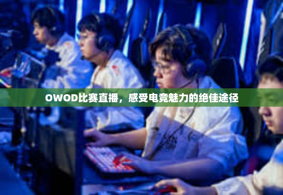 OWOD比赛直播，感受电竞魅力的绝佳途径