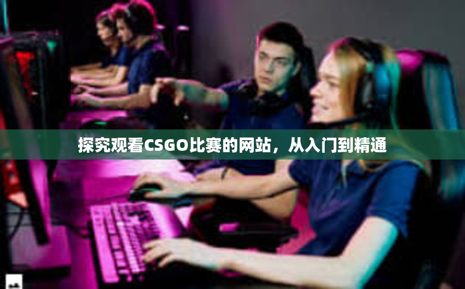 探究观看CSGO比赛的网站，从入门到精通