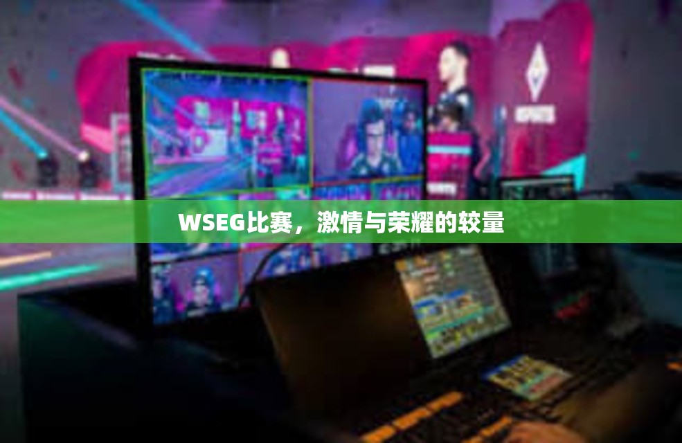 WSEG比赛，激情与荣耀的较量