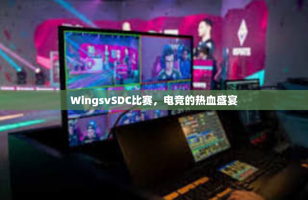 WingsvSDC比赛，电竞的热血盛宴