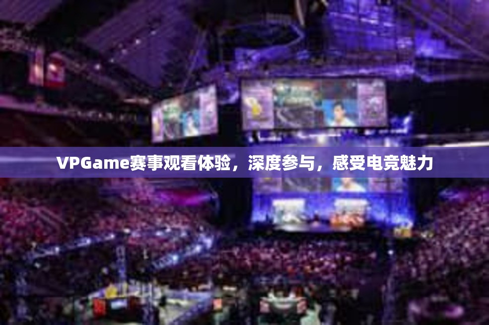 VPGame赛事观看体验，深度参与，感受电竞魅力