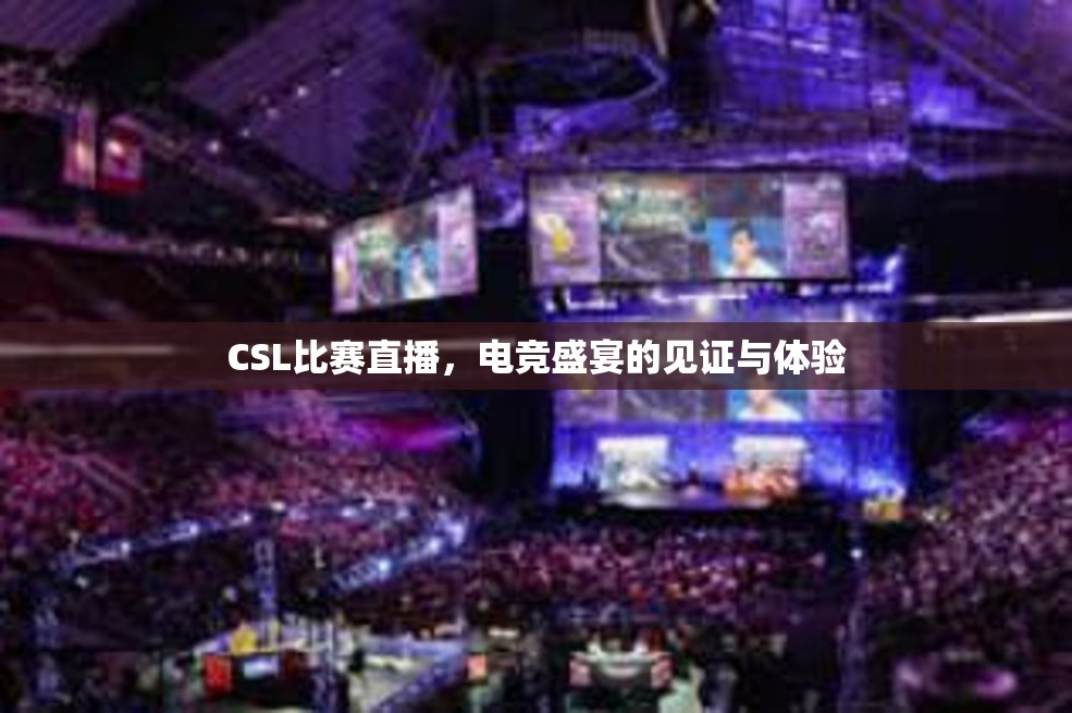 CSL比赛直播，电竞盛宴的见证与体验