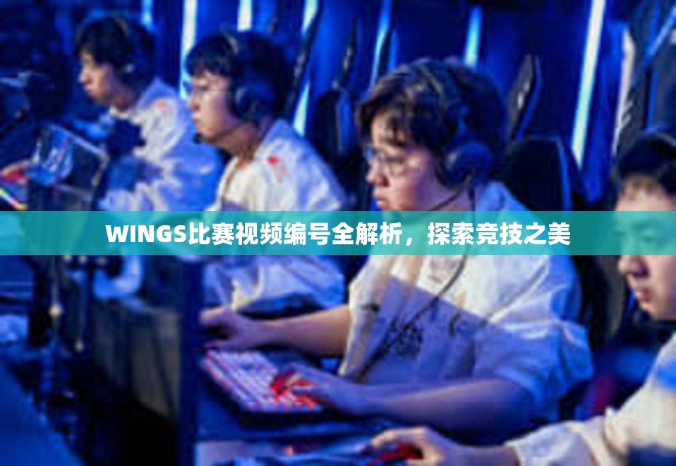 WINGS比赛视频编号全解析，探索竞技之美