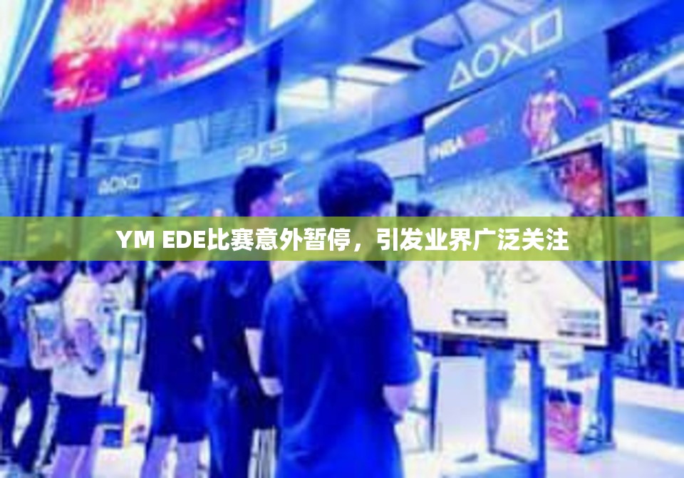 YM EDE比赛意外暂停，引发业界广泛关注