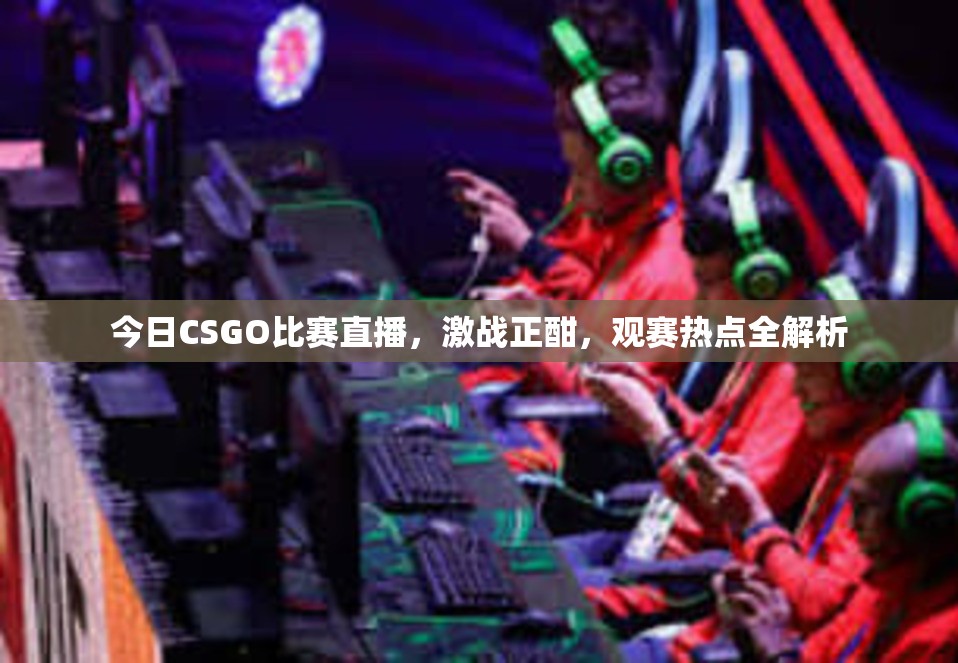 今日CSGO比赛直播，激战正酣，观赛热点全解析