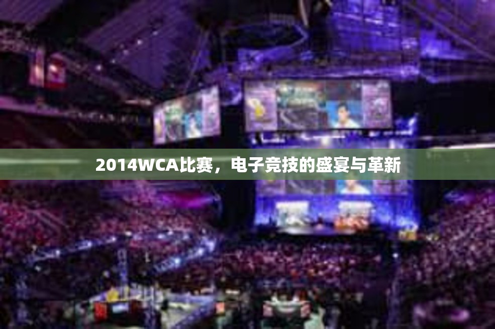 2014WCA比赛，电子竞技的盛宴与革新